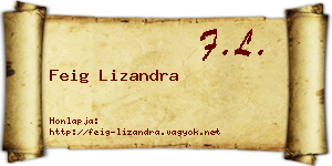 Feig Lizandra névjegykártya